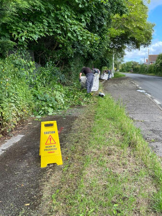 Verge clearing June 2024